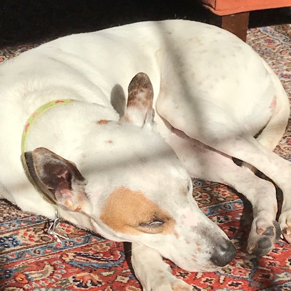 Meet your Posher, Kristina